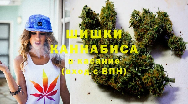 крисы Баксан