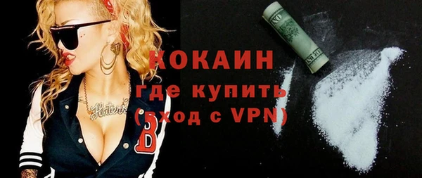 крисы Баксан