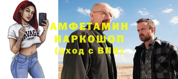 крисы Баксан