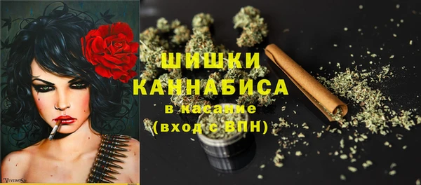 крисы Баксан