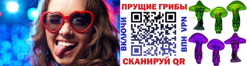Галлюциногенные грибы Psilocybine cubensis KRAKEN как войти Ливны где можно купить наркотик